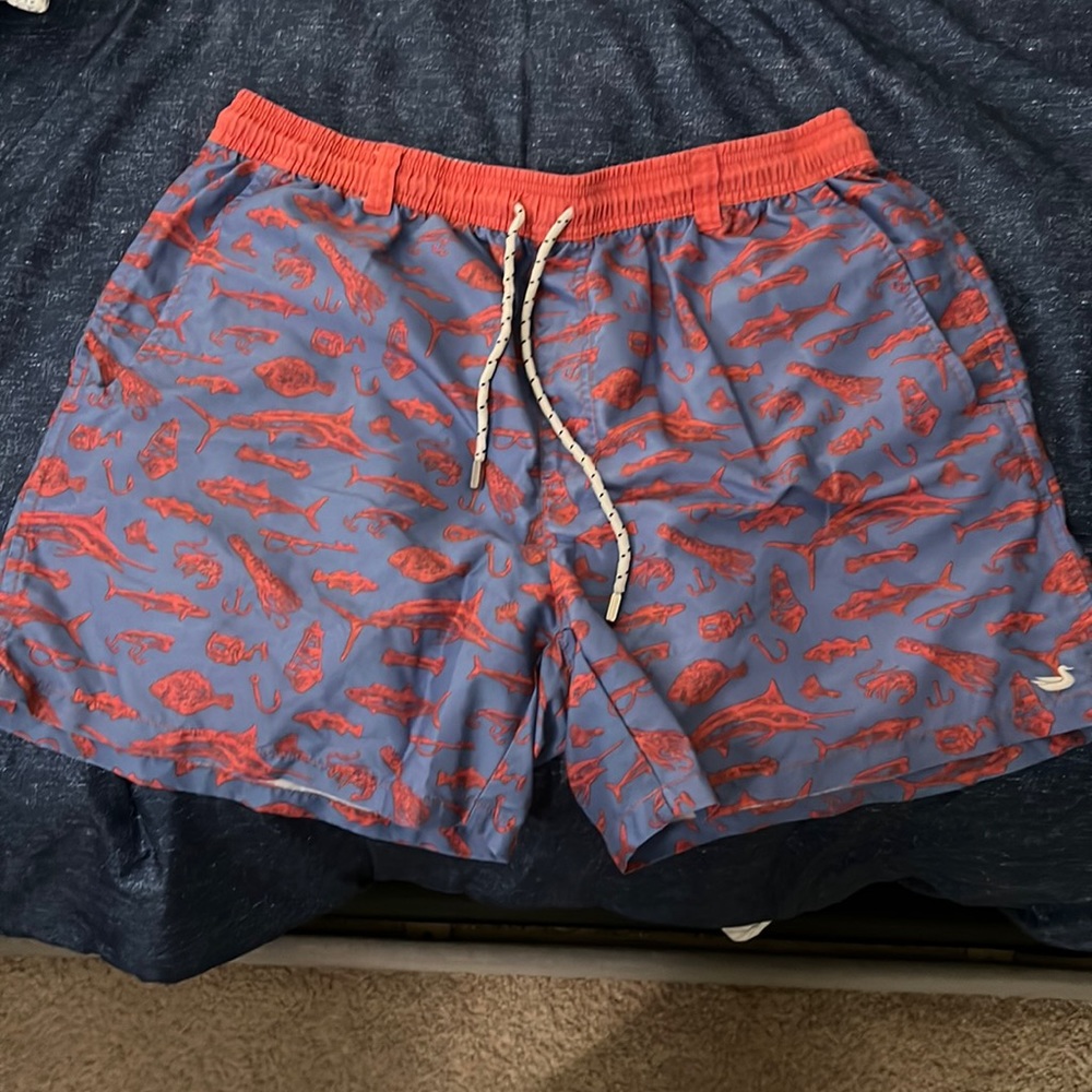 Southern marsh swim trunks